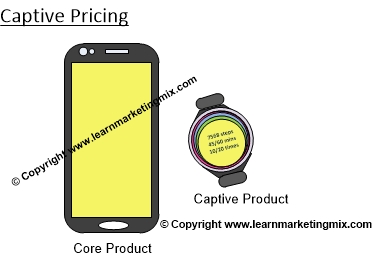 Captive Pricing Diagram